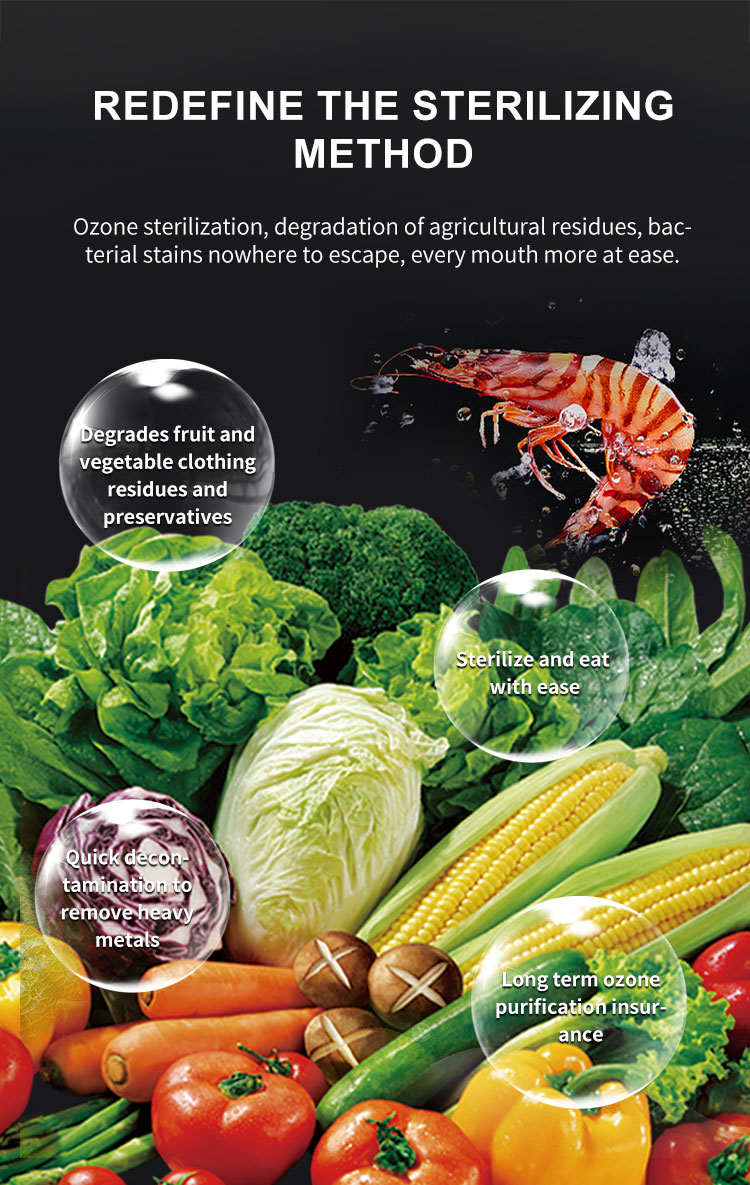 Vegetable Washing Machine